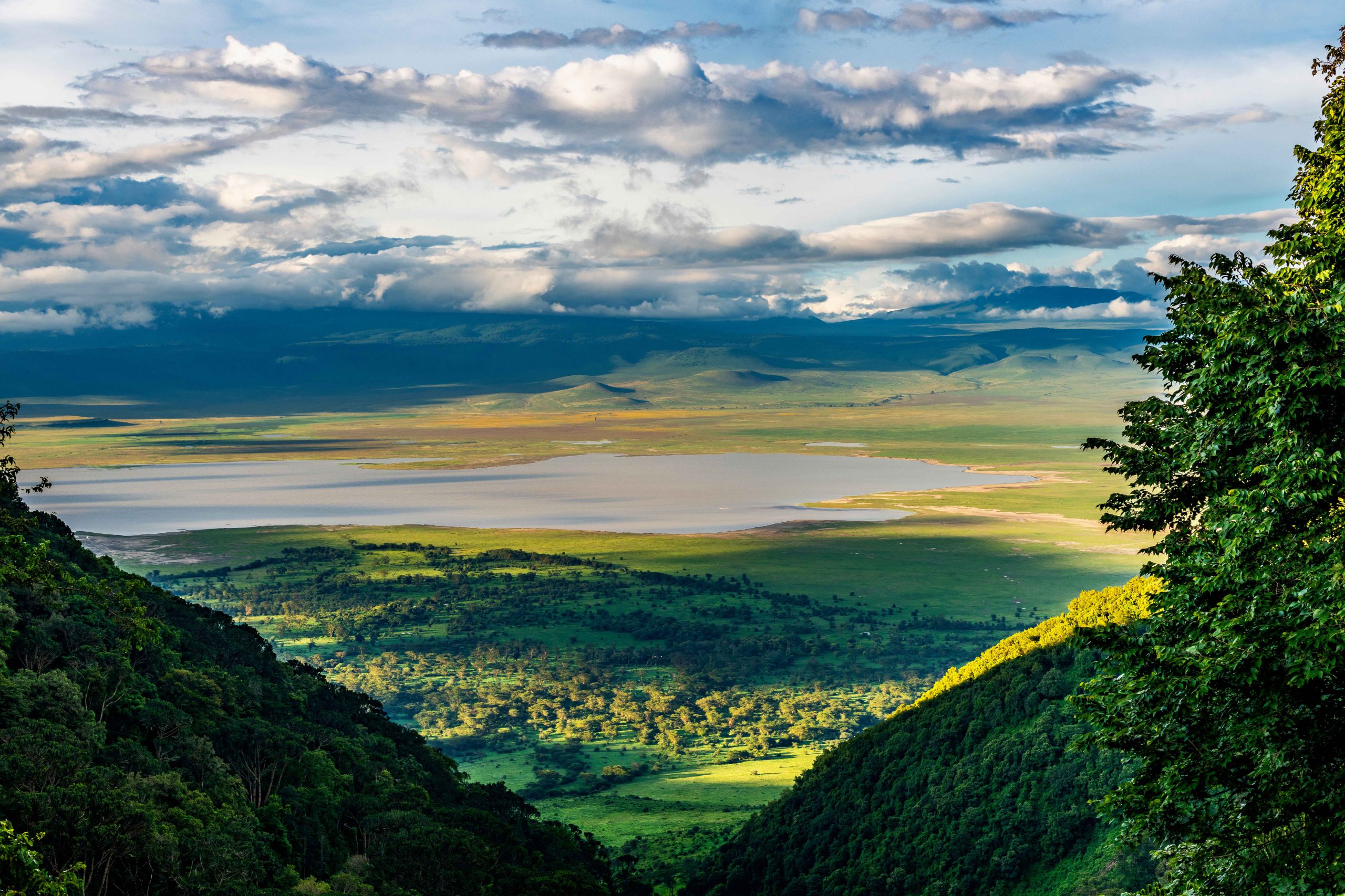 Kruger National Park Travel