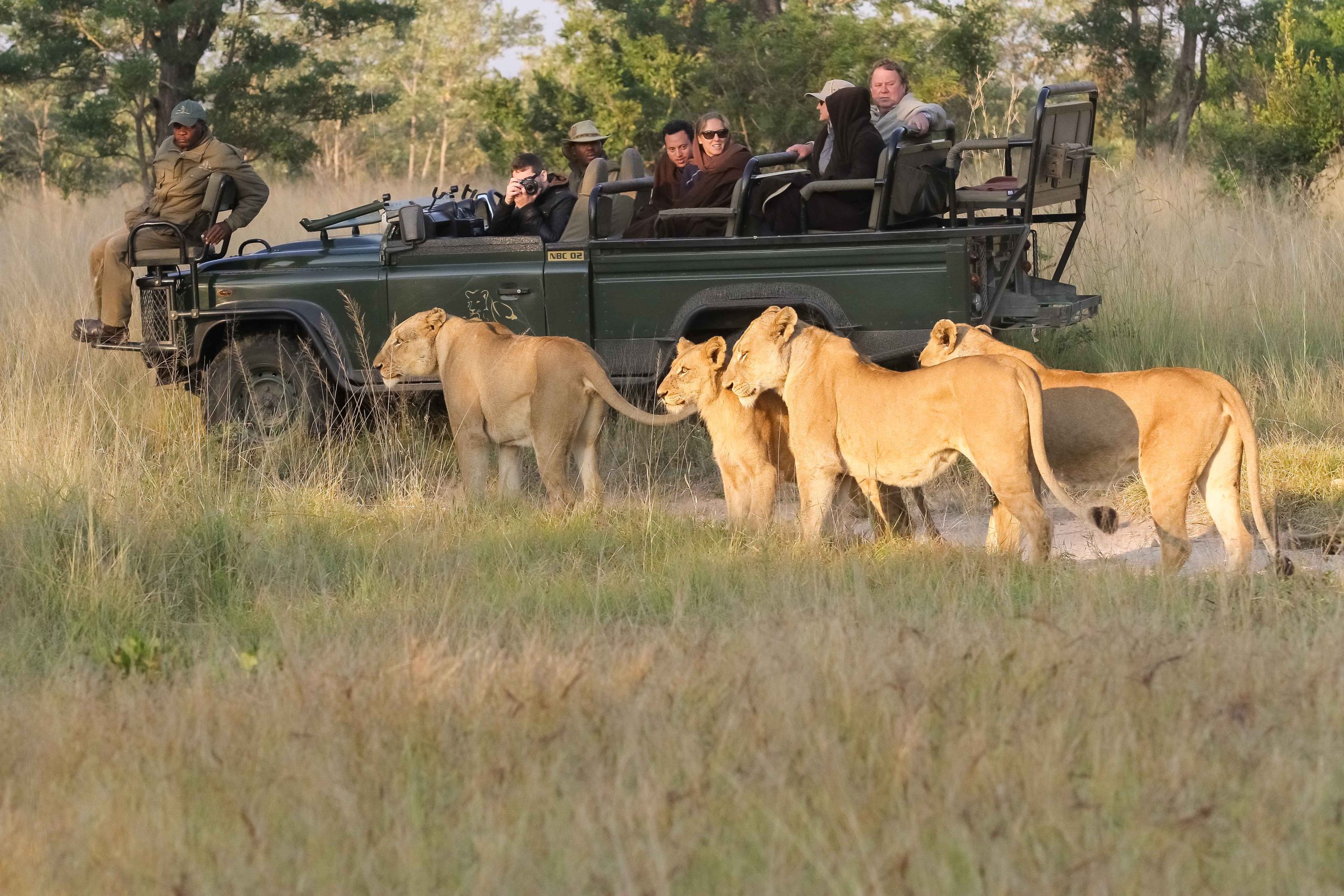 Tour Guiding