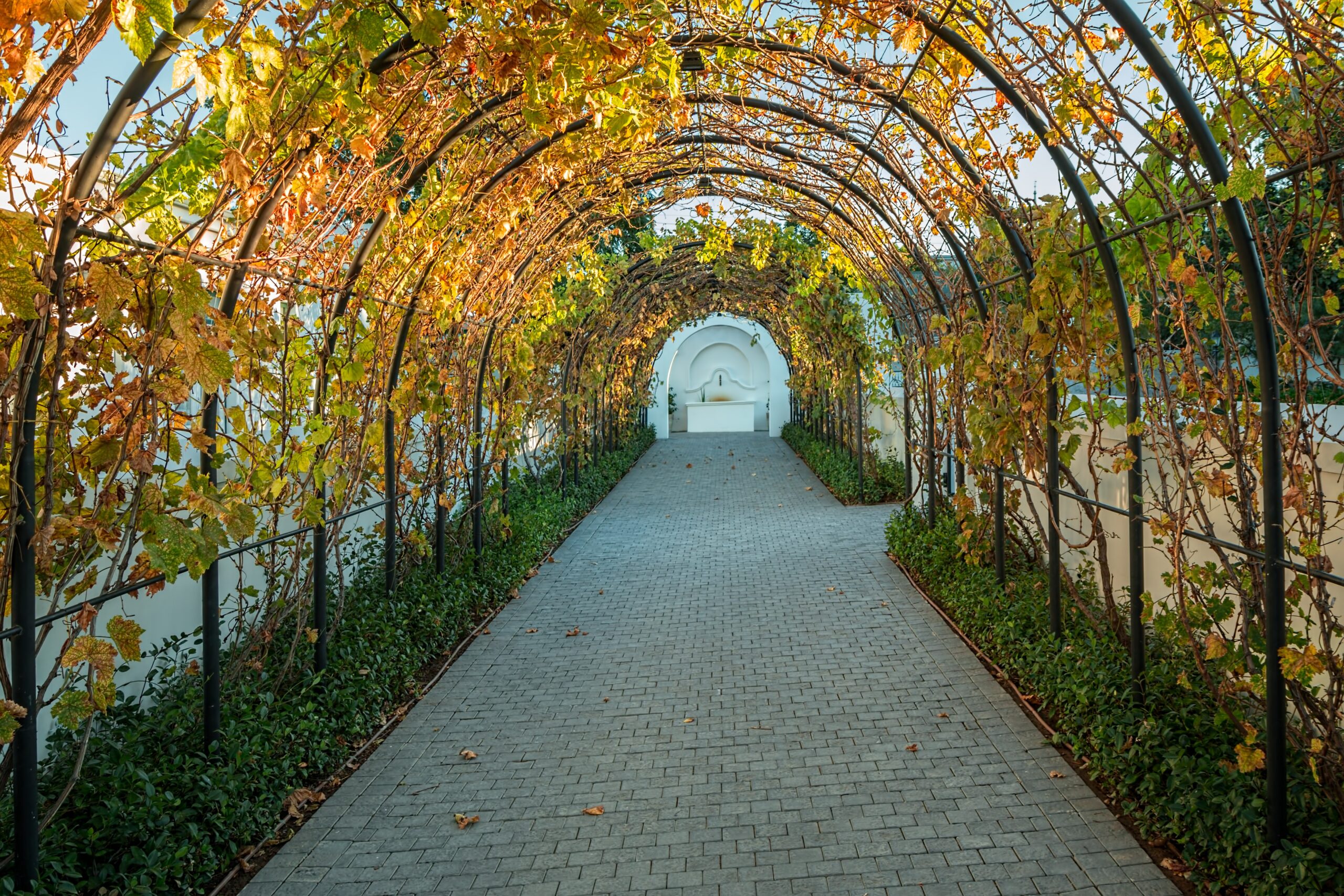 Cape Town & Winelands Discovery